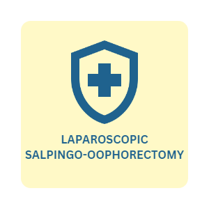 laparoscopic-salpingo-oophorectomy